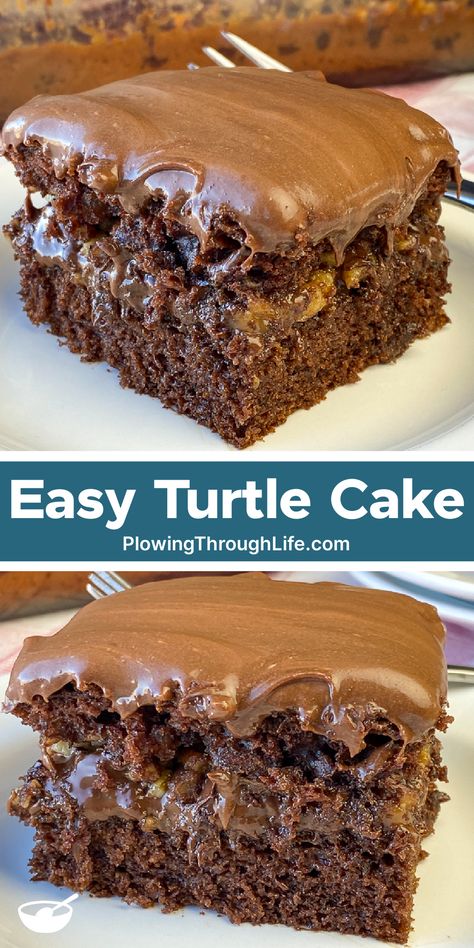 Box Mix Turtle Cake Turtle Dump Cake Recipes, Chocolate Chip Cheesecake Cake, Recipe Using Chocolate Box Cake, Chocolate Cake From A Box Recipes, Chocolate Turtle Cake, Recipes With Box Cake Mixes, Turtle Cake Recipe, Cake Box Recipes, Chocolate Cake Mix Recipes Boxes Ideas