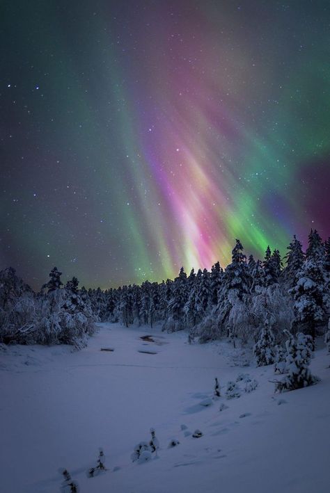 Northern Lights in Lapland, Finland by Reddit user rraaxx Winter Drawings, Lapland Finland, Winter Girl, Winter Wallpaper, Winter Diy, Harvest Moon, Winter Forest, Winter Wonder, Winter Landscape