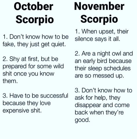 Zodiac Mind Scorpio, October Libra, Zodiac Quotes Scorpio, Astrology Scorpio, Scorpio Traits, Zodiac Signs Chart, Scorpio Love, Scorpio Zodiac Facts, Scorpio Quotes