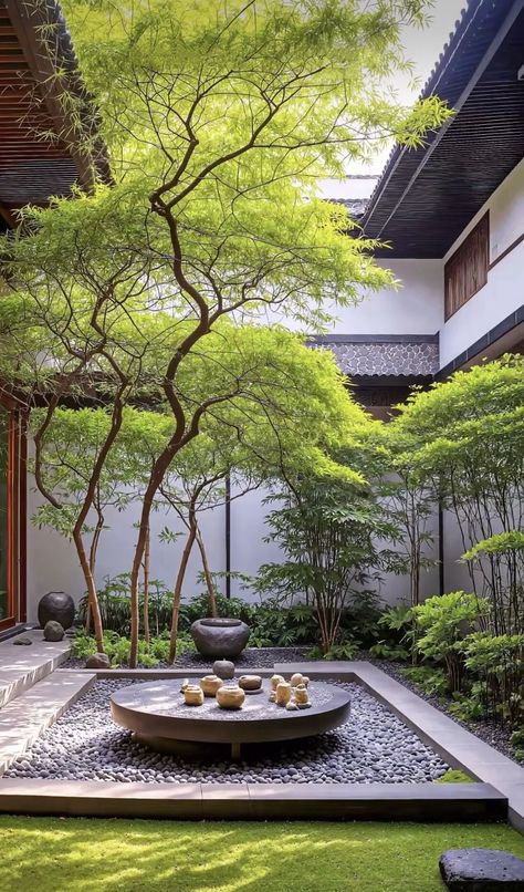 Modern Garden Design Ideas, Design A Garden, Shrunken Heads, Japanese Garden Landscape, Small Garden Ideas, Zen Garden Design, Courtyard Gardens Design, Japanese Garden Design, Asian Garden