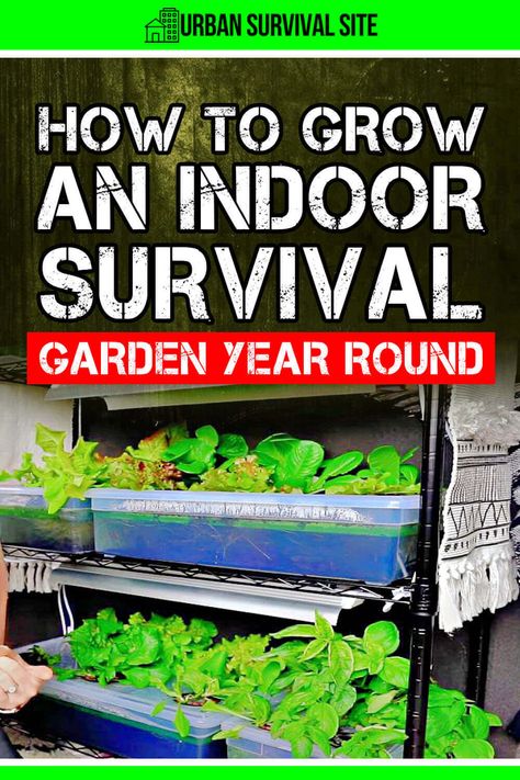 An indoor survival garden will protect your harvest from thieves and allow you to grow fruits, herbs, and vegetables year round. Urban Survival, Kids Survival Skills, Survival Garden, Living Off The Grid, Survival Skills Life Hacks, Survival Life Hacks, Survival Gardening, Prepper Survival, Indoor Gardens