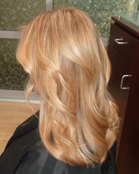 Light golden blonde/strawberry blonde. . . . #nicolesaaavedracolorist #mastercolorist #hair #haircolor #joico #hairgoals #hairlife… | Instagram Light Golden Blonde, Light Strawberry Blonde, Warm Blonde Hair, Beige Blonde Hair, Strawberry Blonde Highlights, Strawberry Blonde Hair Color, Strawberry Hair, Golden Blonde Hair, Ginger Hair Color