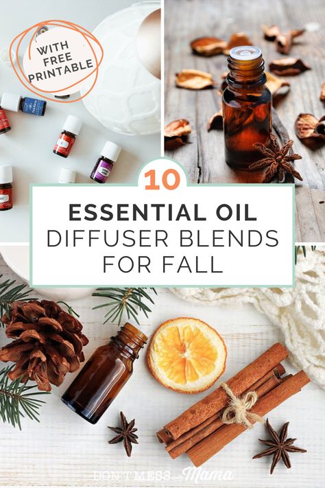 Want to get your home all cosey for fall? You need these fall essential oil blends. With these 10 fall diffuser blends your home will smell incredible and leave you feeling calm and cosey. Diy Fall Essential Oil Blends, Fall Smells Essential Oils, Essential Oil Recipes Diffuser Fall, Essential Oil Mixes For Fall, Best Essential Oil Diffuser Blends, Now Essential Oils Recipes, Oil Combinations To Diffuse, Fall Scent Diffuser Blends, Natural Fall Scents For Home