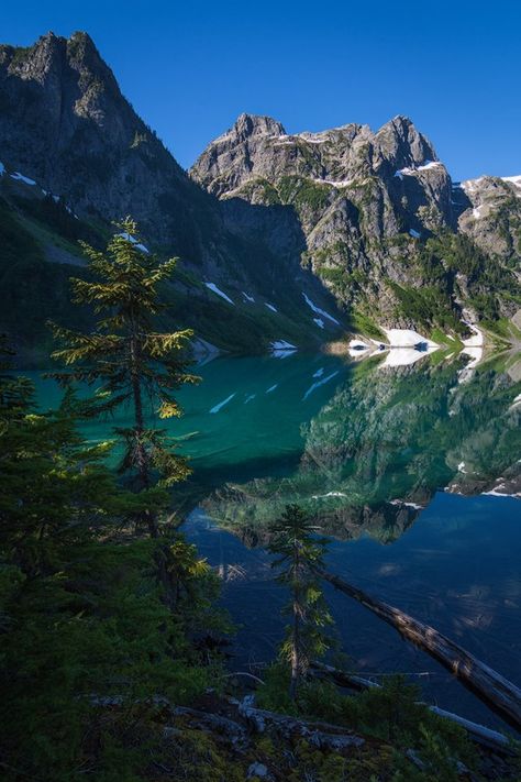 Vine Maple, Icy Lake, Cascades National Park, The Blue Planet, Mt Rainier National Park, Cascade National Park, Cold Plunge, Stinging Nettle, North Cascades National Park