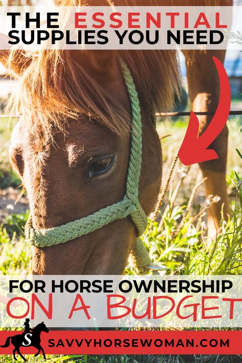 Horse Supplies on a Budget: The Bare Essentials You Need for Your New Horse - Savvy Horsewoman Sorrel Horse Tack Colors, How To Saddle A Horse, Horse Things To Buy, Homestead Horses, Horse Guide, Horse Lifestyle, Livestock Fence, Horse Tack Diy, First Horse