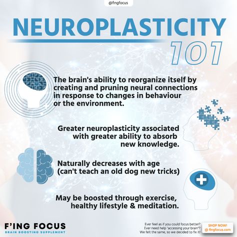 We often hear about neuroplasticity, but what is it exactly? 🤔⁣ ⁣ To breakdown the word, neuro = brain, plasticity = the ability to be shaped or molded.⁣ ⁣ Put together neuroplasticity refers to the brain’s ability to be shaped or molded.⁣ ⁣ ⁣ #neuroplasticity #brainwaves #learning #memory #brainbooster #FingFocus #focus #energy #clarity #cognition #nootropics #brainboost #brainhealth #healthymind #memoryenhancers #mindfulness #alertness #benefits #wellbeing #brainpower ⁣⁣ Positive Neuroplasticity, Neuro Plasticity, Brain Plasticity, Neuroplasticity Exercises, Brain Plasticity Neuroplasticity, Interpersonal Neurobiology, Neurotypical Vs Neurodivergent, Rewire Your Brain Neuroplasticity, Nerve Cells