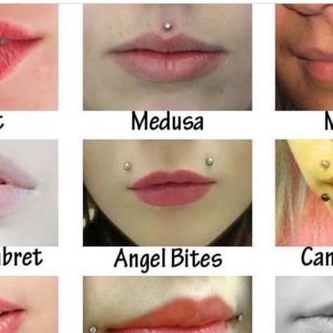 OUFER BODY JEWELRY on Instagram: "What would you get for your next piercing? 👄👄 😘😘Lern more @ouferbodyjewelry #ouferbodyjewelry #bodypiercing #lippiercing #piercinglover #piercedgirl #medusa #verticallabret #piercingknowledge" Face Piercings Women Lips, Upper Lip Piercing Medusa, Ashley Lip Piercing Aesthetic, Tiny Medusa Piercing, Inside Mouth Piercings, Raccoon Bites Piercing, Ashley And Medusa Piercing, Bottom Lip Piercing Middle, Medusa Piercing Small Lips