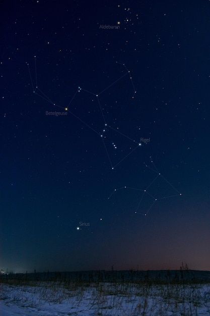 Photo starry night sky constellation ori... | Premium Photo #Freepik #photo #constellation #virgo-constellation #leo-constellation #zodiac-constellation Cosmic Art Universe, Night Sky Constellations, Star Sirius, Constellation Orion, Canis Major, Constellations In The Sky, Capricorn Constellation, Orion Constellation, Virgo Constellation