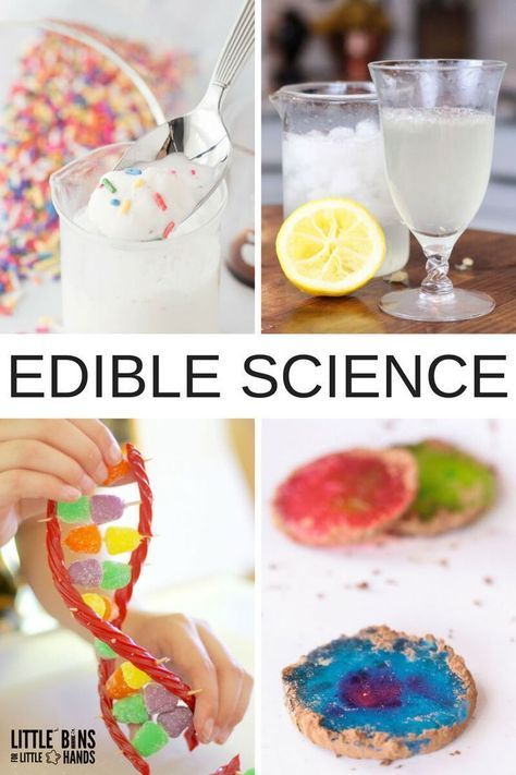 Edible Science Experiments, Candy Science Experiments, Edible Science, Candy Science, Kitchen Science Experiments, Science Experience, Kitchen Science, Science Camp, Summer Science