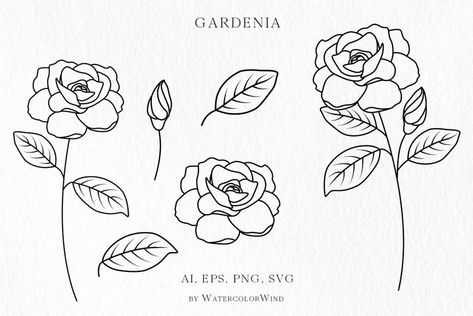 Gardenia Tattoo, Floral Doodles, October Birth Flowers, July Birth Flower, November Birth Flower, February Birth Flowers, May Birth Flowers, Gardenia Flower, August Birth Flower