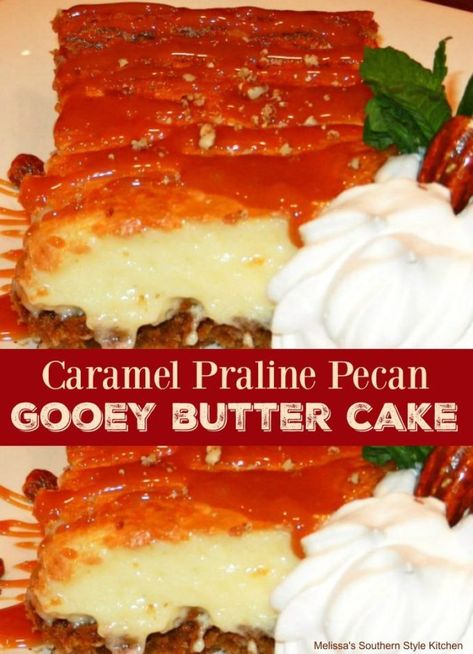 Caramel Praline Pecan Gooey Butter Cake - melissassouthernstylekitchen.com Recipes With Butter Pecan Cake, Ooey Gooey Butter Pecan Cake, Praline Dessert Recipes, Gooey Butter Pecan Cake, Pecan Ooey Gooey Butter Cake, Cherry Ooey Gooey Butter Cake, Gooey Cake Recipes, Brownie Pecan Pie Ooey Gooey Butter Cake, Ooey Gooey Butter Cake Recipe