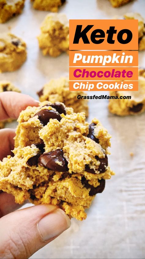 Keto Pumpkin Chocolate Chip Cookies, Pumpkin Cream Cheese Pie, Pumpkin Chocolate Chip Cookies, Low Carb Cookies, Grass Fed Butter, Pumpkin Chocolate Chips, Keto Cookies, Healthy Pumpkin, Sugar Free Chocolate