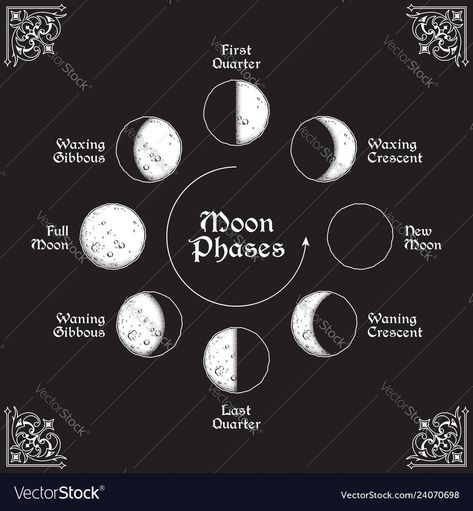 Antique style moon phases circle ... Moon Phases In A Circle, Circular Moon Phases Tattoo, Moon Phases Tattoo Circle, Moon Phases Circle Tattoo, Moon Phases Circle, Moon Phases Drawing, Signs Elements, Poster Tattoo, Tattoo Friends