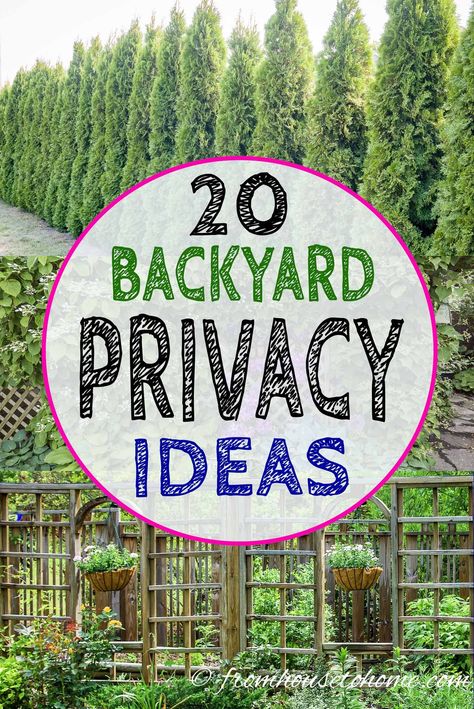 These backyard privacy ideas create a privacy screen for your garden that will keep the neighbors from looking in. Include them in the garden design for your landscaping to create a yard you'll want to spend time in. #fromhousetohome #gardenprivacy #gardendesign #gardenstructures #gardens Backyard Privacy Ideas, Backyard Privacy Screen, Privacy Trellis, Yard Privacy, Privacy Ideas, Privacy Plants, Privacy Landscaping, Diy Trellis, Garden Privacy