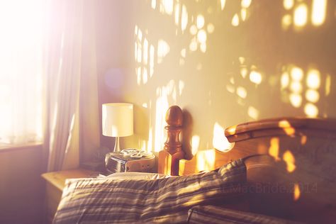 COISA BOA Morning Light Bedroom, Soft Lighting Aesthetic, Warm Light Aesthetic, Morning Light Aesthetic, Soft Light Aesthetic, Sunlight Aesthetic, Morning Sunlight, Colour Theme, Sun Light