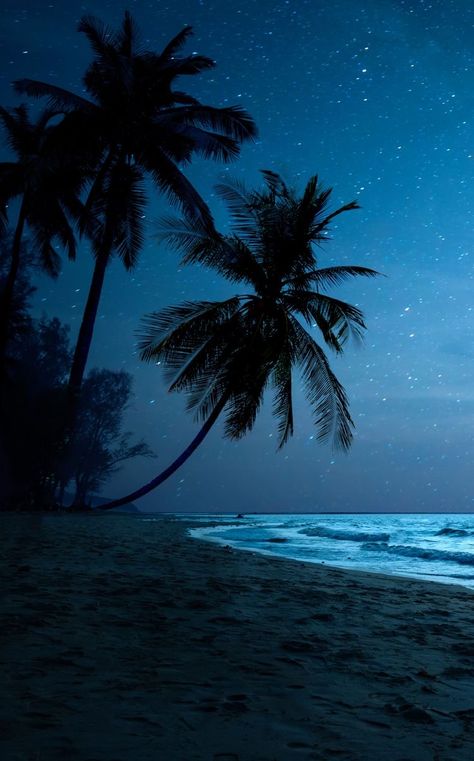 Tropical Beach At Night, Dark Tropical Aesthetic, Coco Beach Florida, Tropical Night, Paradise Pictures, Dark Beach, Island Wallpaper, Ocean At Night, Dark Wallpapers