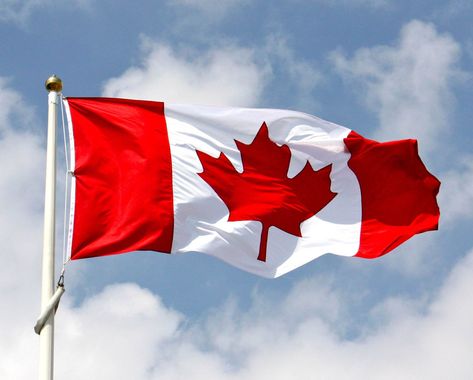 Fotos Do Canada, I Am Canadian, Canada Eh, Port Huron, Happy Canada Day, O Canada, Whatsapp Wallpaper, Canadian Flag, Recruitment Agencies