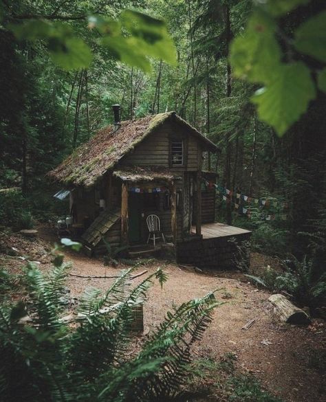 ✸This Old Stomping Ground✸ Deep In The Woods, Little Cabin In The Woods, Forest Cottage, Cabin Tiny House, Forest Cabin, Cottage Cabin, Tiny House Cabin, Small Cabin, Cabin In The Woods