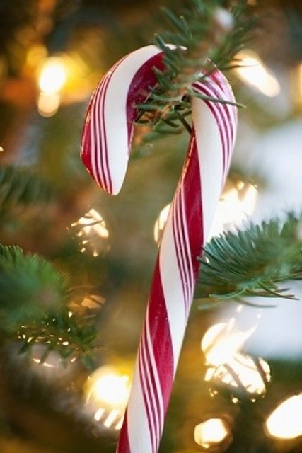 Christmas Decorations Diy For Kids, Childhood Christmas, Christmas Lights Outside, Christmas Crafts For Kids To Make, Candy Cane Christmas, Black Christmas Trees, Cool Christmas Trees, Christmas Celebration, Rustic Christmas Tree