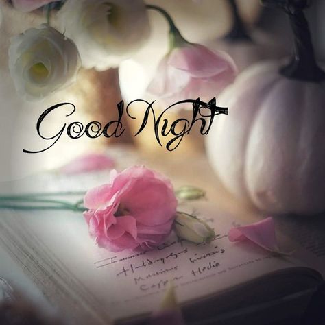 10 Beautiful Good Night Messages For 2022 Beautiful Good Night Messages, Good Night Cards, Beautiful Good Night Quotes, Good Night Beautiful, Night Beautiful, Beautiful Good Night Images, Good Night Flowers, Good Morning Flowers Quotes, Cute Good Night