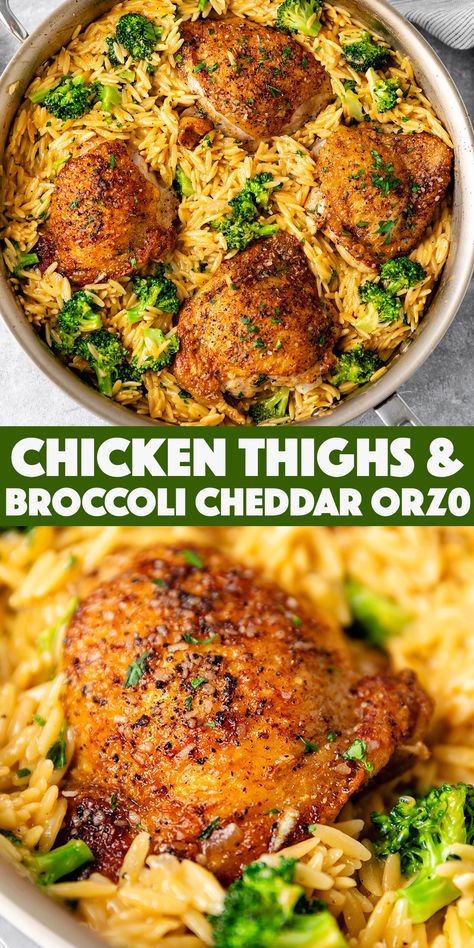 Skillet Chicken Thighs with Broccoli Cheddar Orzo - juicy golden brown chicken thighs with cheesy orzo and broccoli all cooked together in one pan! Broccoli Cheddar Orzo, Cheddar Orzo, Skillet Chicken Thighs, Chicken Casserole Recipes, Broccoli Cheddar, Health Dinner Recipes, Skillet Chicken, Chicken Dishes Recipes, Chicken Casserole