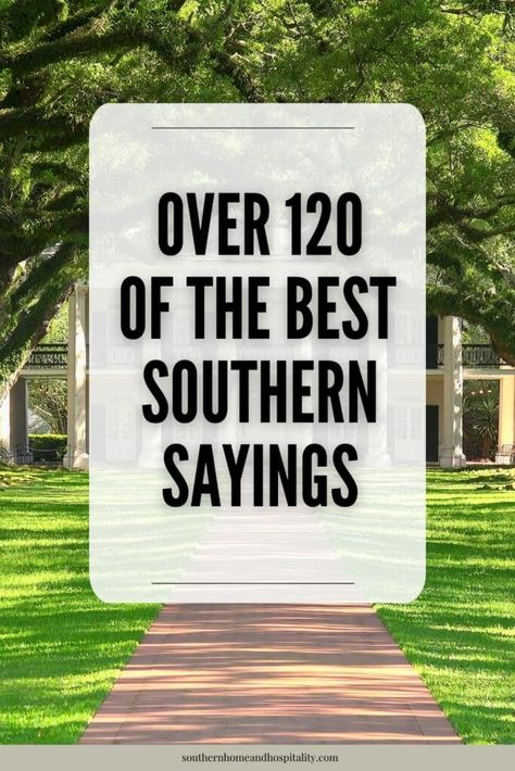 These common Southern sayings, expressions, and slang will have you grinning like a possum eating a sweet potato with all the charm and wit the South is known for! Southern Sassy Quotes Funny, Sassy Country Quotes Southern Sayings Funny, Sassy Country Quotes, Old Southern Sayings, Southern Phrases Funny, Southern Words And Phrases, Southern Sayings Quotes, Southern Slang Sayings, Country Slang Southern Sayings