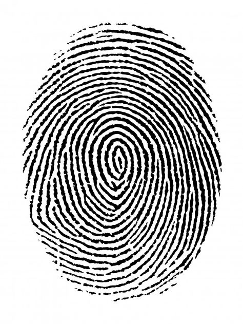 Fingerprint, Premium Vector, Free Download, Black And White, Black