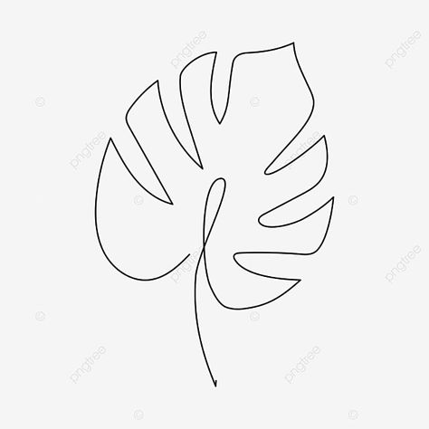 leaves,line,stroke,line drawing,stick figure,monstera,turtle leaf,tropical leaves Simple Tropical Drawings, Leave Drawing Simple, Monsters Leaf Drawing, Palm Leaf Drawing Simple, Simple Monstera Drawing, Tropical Leaves Drawing Simple, Aesthetic Leaf Painting, How To Draw Jungle Leaves, Tropical Leaf Line Art