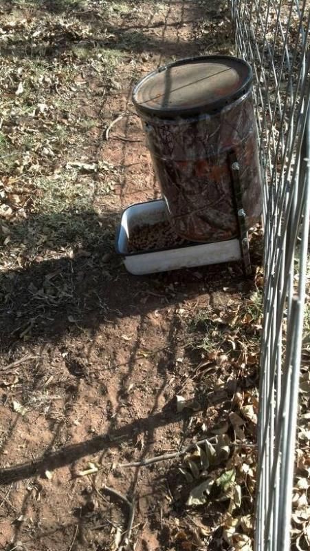 DIY Self Dog Gravity Feed (lab proof hopefully) - TexasBowhunter.com Community Discussion Forums Dog Feeder Automatic Diy, Diy Dog Self Feeder, Diy Auto Dog Feeder, Diy Gravity Dog Feeder, Diy Self Feeders For Dogs, Diy Dog Feeder Outdoor, Diy Automatic Dog Feeder, Gravity Feeder Diy, Diy Gravity Feeder