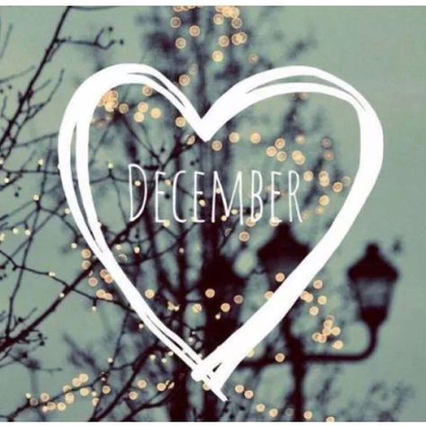 December Love A Background, The Words, Frame, Quotes, White