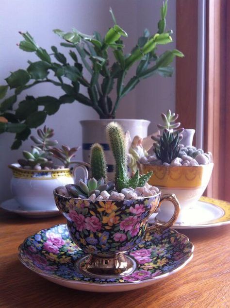 21 Amazing Teacup Craft Ideas - 134 Succulent Tea Cup, Teapot Garden Ideas, Tea Cup Crafts Diy, Old Tea Cups Ideas, Tea Cup Crafts, Teacup Crafts Diy, Teacup Decor, Teacup Ideas, Tea Cup Decorations