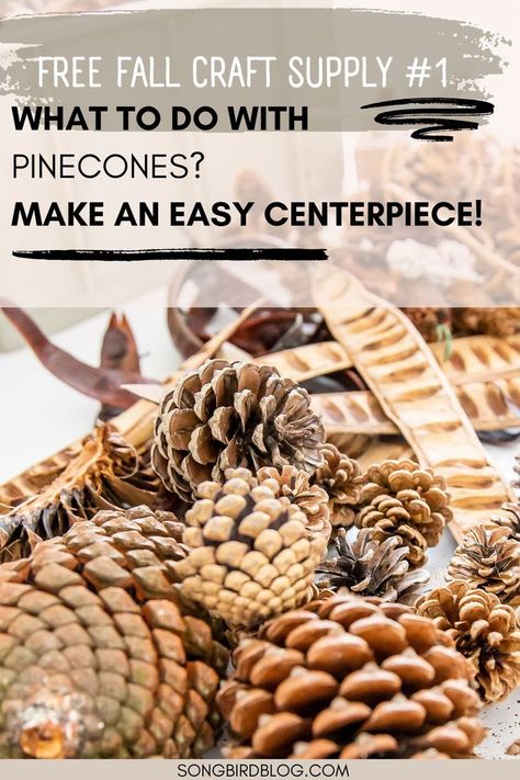 A table full of assorted pinecones with text overlay: Free fall craft supply #1, what to do with pinecones? Make an easy centerpiece! Pine Cone Decor, Crafts For Fall, Table Fall Decor, Pinecone Centerpiece, Pinecone Crafts, Diy Pinecone, Diy Table Decor, Simple Centerpieces, Pine Cone Decorations