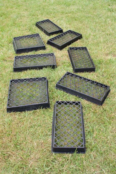 (link) DIY GARDEN STEPPING STONES / PAVERS ~ Very clear, easy-to-follow step by step guide on making own stepping stones. Molds may be made out of anything that will hold cement: pizza boxes, disposable pie tins, cake pans, vinyl pot saucers, plastic take-out containers, etc. ~~ HINT: Think "outside the box" for stepping stone forms, such as plant trays as stepping stone molds. ~ for more great PINs w/good links visit @djohnisee ~ have fun! Homemade Stepping Stones, Stepping Stone Molds, Concrete Stepping Stones, Stepping Stones Diy, Concrete Diy Projects, Stone Molds, Garden Stepping Stones, Garden Steps, Concrete Steps