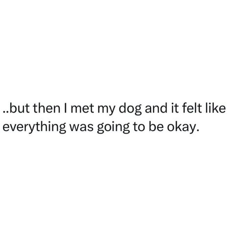 🐾 And so it was ❤️ #doglover #doglove #dogquotes Dogs Funny Quotes, Dog Tattoo Quotes, Pet Quotes Love, Dogs Quotes Love, Love Dogs Quotes, My Dog Quotes, Puppies Quotes, Dogs Quotes, Funny Pet Quotes