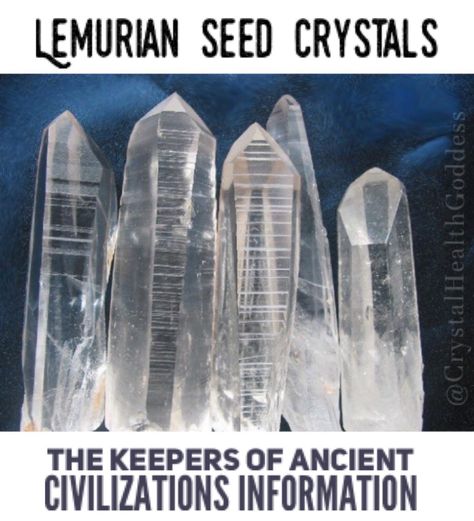 Lemurian Seed Crystals The Keepers of Ancient Civilizations Information Mount Shasta, Lemurian Crystal, Types Of Crystals, Astral Travel, Crystal Healing Stones, Ancient Knowledge, Ancient Wisdom, Ancient Civilizations, Crystal Gems