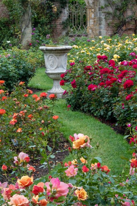 Garden With Roses, English Rose Garden Design, Rose Garden Landscape Front Yards, Castle Gardens, Roses In Garden, Mixed Rose Garden, Rose Garden Bed Ideas, Rose Walkway, Small Rose Garden