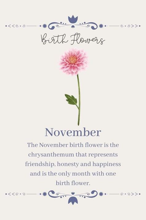 Flowers Of November, Scorpio Flower Birth Month, Chrysanthemum Flower Quotes, November Month Flower, Chrysanthemum Quotes, Birth Flower For November, Tattoo November Birth Month, Birth Month Flower Tattoos November, November Birth Flowers Tattoo