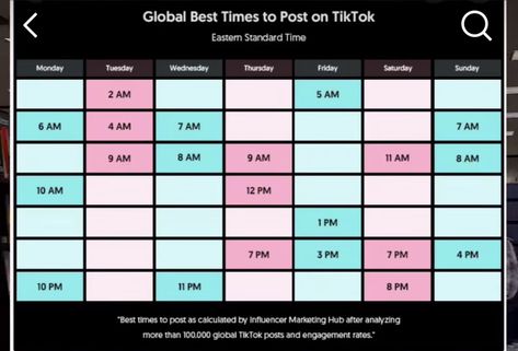 Social Media Tiktok, Social Media Growth Strategy, Start Youtube Channel, Social Media Content Planner, Instagram Branding Design, Tiktok Famous, Best Time To Post, Social Media Marketing Instagram, Youtube Success