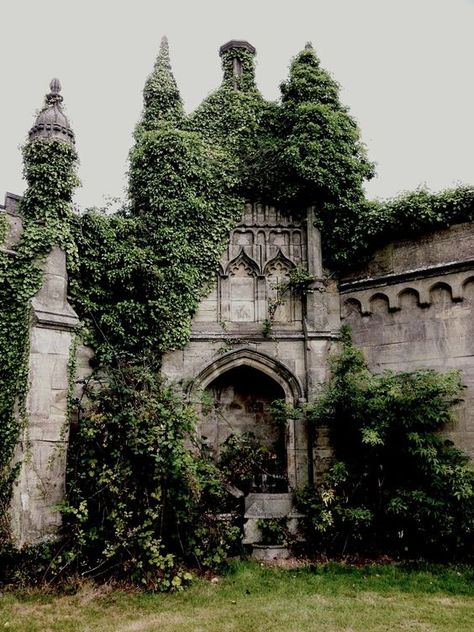 Overgrown Castle, Image Frames, Architecture Castle, Point Drawing, Aesthetic Architecture, Fairy Castle, Gothic Garden, Castle Aesthetic, Texas State University