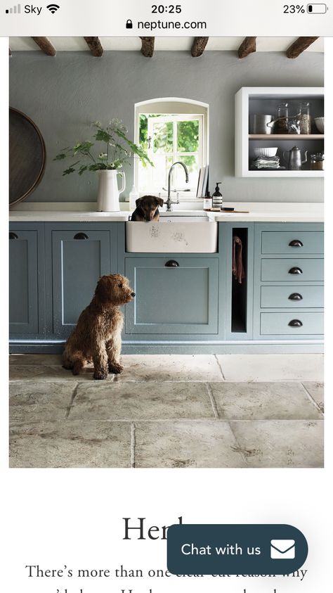 Ashley Stark, Instagram Dog, Victorian Kitchen, Cottage Kitchens, Cottage Interiors, Kitchen Extension, Kitchen Diner, Kitchen Cabinetry, Cheap Decor