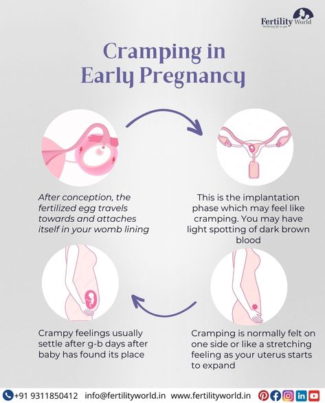 Cramping in Early Pregnancy Early Pregnancy Cramps, Signs You Are Pregnant, Pregnancy Herbs, Sperm Health, Ivf Baby, Fertility Awareness, Pregnancy Problems, Female Fertility, Early Pregnancy