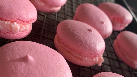 Nut Free Macaron Recipe, Nut Free Granola Bars, Nut Free Cookies, Nut Free Desserts, Nut Free Granola, Nut Free Pesto, Make Macarons, Nut Free Snacks, Macarons Recipe