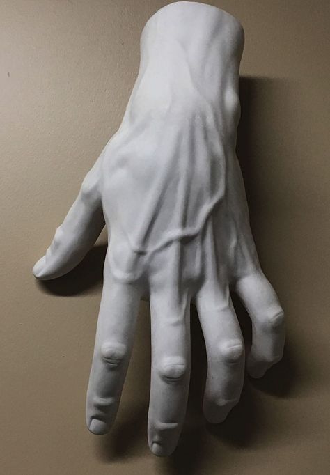 Hand Anatomy, Man Sculpture, Hand References, Man Hand, Anatomy Sculpture, Classic Sculpture, Sculpture Art Clay, Human Anatomy Drawing, Hand Drawing Reference