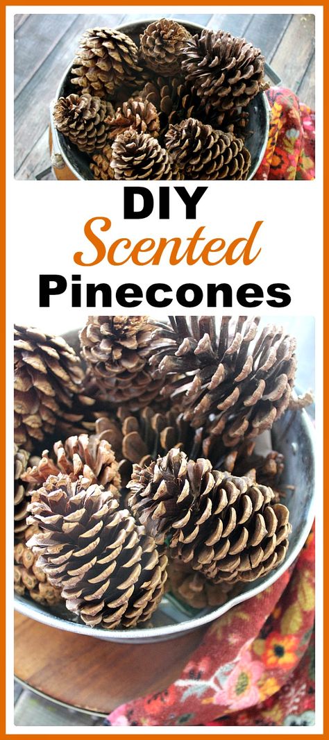 Diy Scented Pinecones, Pinecones Decor, Wardrobe Freshener, Pinecone Ideas, Scented Pinecones, Pinecone Crafts, Homemade Air Freshener, Diy Scent, Diy Pinecone