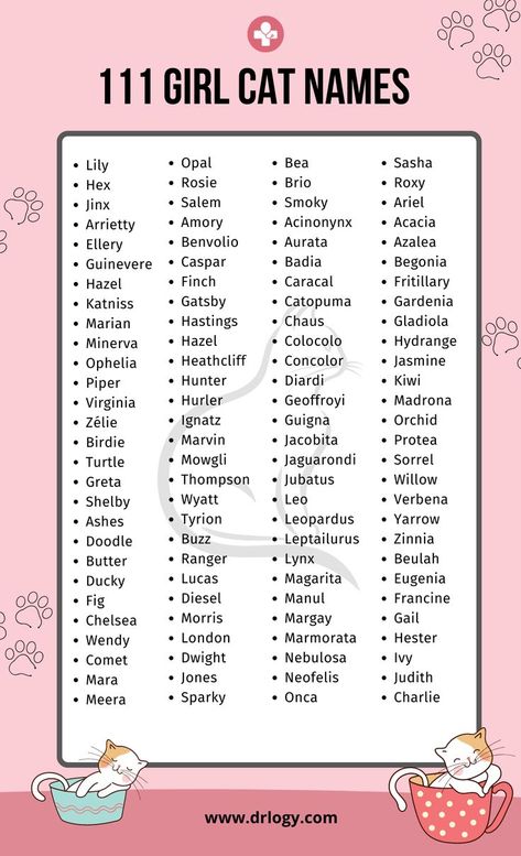 Girl Cat Names With Meaning Pretty Cat Names, Female Cat Names Unique, Cat Names Girl, Female Pet Names, Girl Pet Names, Kitten Names Unique, Kitten Names Girl, Girl Cat Names, Unique Cat Names