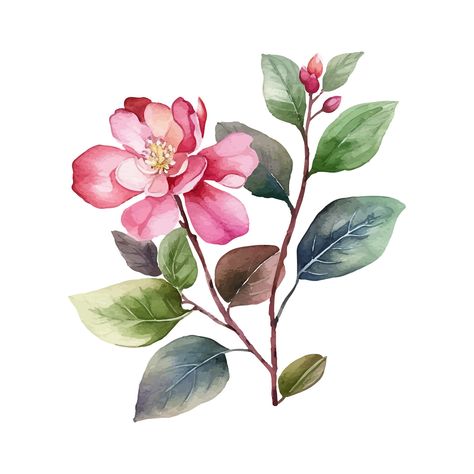 flower with leaf watercolor painting on Behance Leaf Watercolor Painting, Watercolor Flowers Png, Digital Kurti, Bunch Flower, Allover Flower, Haider Ali, Leaf Png, Flower Bunches, Leaf Watercolor