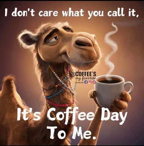 Good Morning Picture Messages, Morning Coffee Funny, Have A Great Wednesday, Thursday Humor, Wednesday Humor, Happy Day Quotes, Funny Coffee Quotes, Happy Wednesday Quotes, Good Morning Funny Pictures