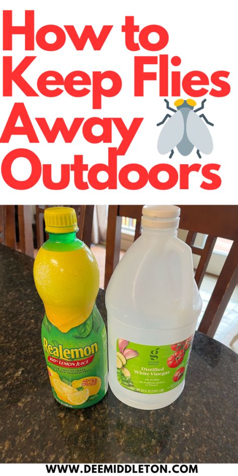 How to Keep Flies Away Outdoors - deemiddleton.com Natural Fly Repellent Indoors, Fly Spray For Yard, Black Fly Repellant Diy, Fly Repellant Diy Outdoors, Home Remedies For Flies, Diy Flies Repellent, Fly Repellant Diy, Fly Deterrent, Homemade Fly Spray