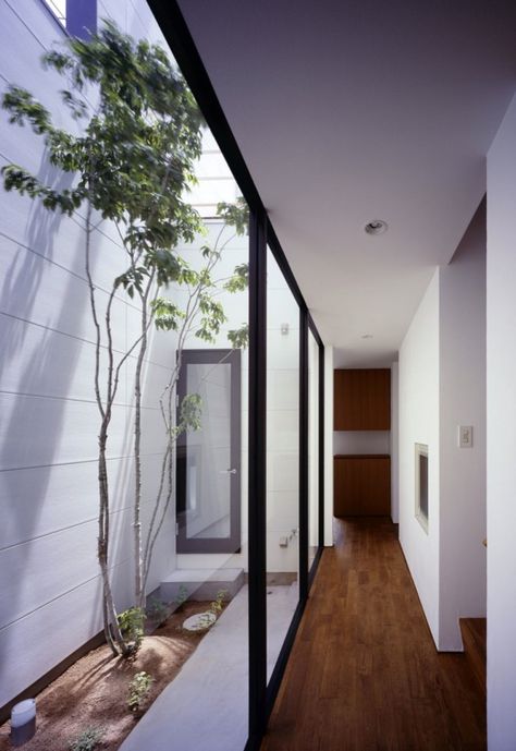 Adzuki House / Horibe Naoko Architect Office Adzuki House / Horibe Naoko Architect Office (29) – ArchDaily Boho Glam Home, Indoor Courtyard, Interior Design Per La Casa, Courtyard Design, Small Courtyards, Internal Courtyard, Narrow House, Patio Interior, Courtyard House