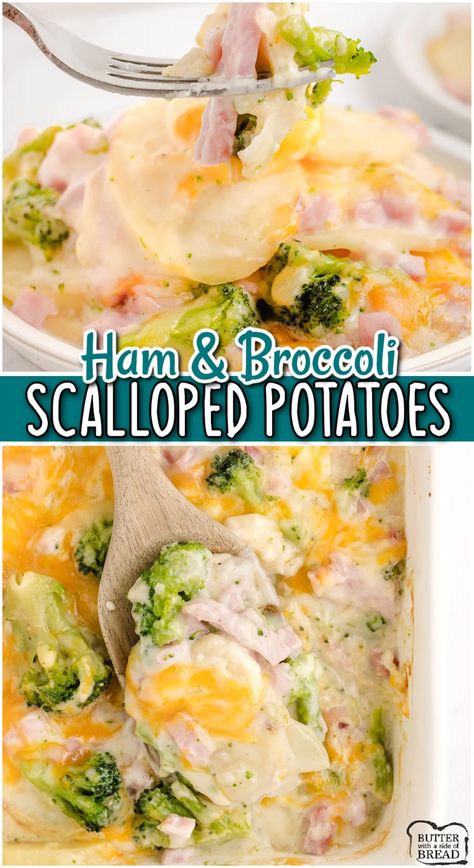 HAM & BROCCOLI SCALLOPED POTATOES - Butter with a Side of Bread Recipes Using Ham, Cheese Scalloped Potatoes, Scalloped Potato Casserole, Ham And Cheese Casserole, Delicious Casseroles, Ham Broccoli, Ham And Potato Casserole, Sweet Potato Dishes, Scalloped Potatoes And Ham